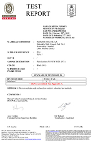 Phtalate-Free Test Raparu-1